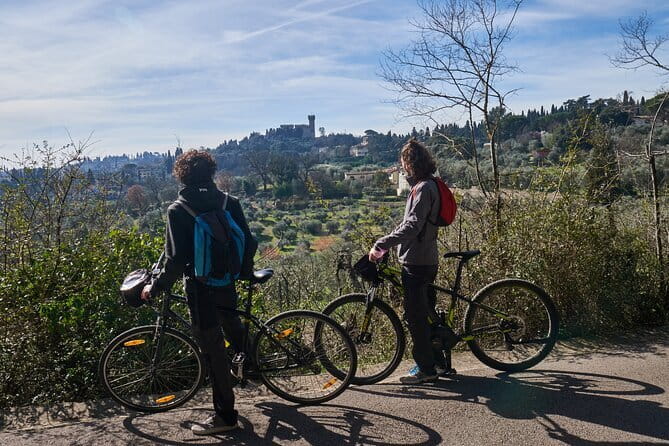 Full-Day Tuscany and Chianti Hills Bike Tour With Lunch at Farm - Via Colleramole: Dimora Ghirlandaio and olive grove scenery