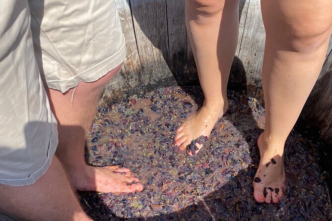 Grape Stomping Experience and Wine Tasting - Getting to Località S. Silvestro, 15 without stress