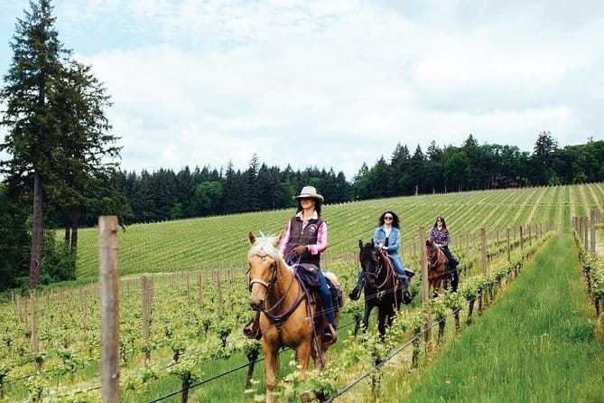 Grape Stomping Experience and Wine Tasting - Cellar tour and private tasting, with the focus on the wine