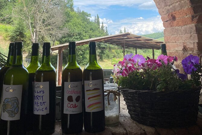 Grape Stomping Experience and Wine Tasting - What’s included, and why the extras are worth it