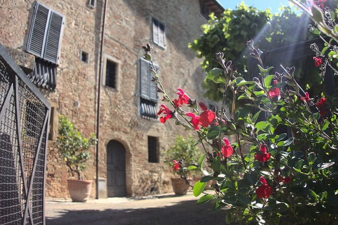 Guided tour with wine tasting and local organic products - Quick Booking Notes That Matter (No Fluff)