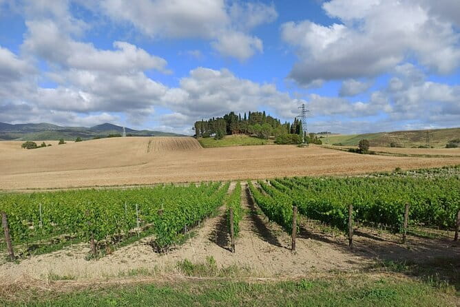 HALF-DAY: Chianti Classic Tour with Wine Experience & visit of San Gimignano - From Florence, the Chiantigiana Wine Road sets the mood fast