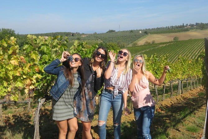 Half-day Chianti Classico Wine tour from Florence - Small Group - Chianti Classico in a tight schedule from Florence