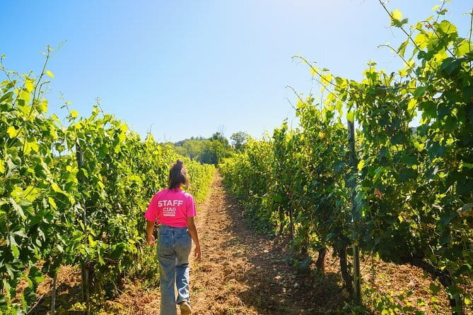 Half day Chianti Vineyard Escape from Florence with Wine Tastings - Two Wineries, One Afternoon Formula