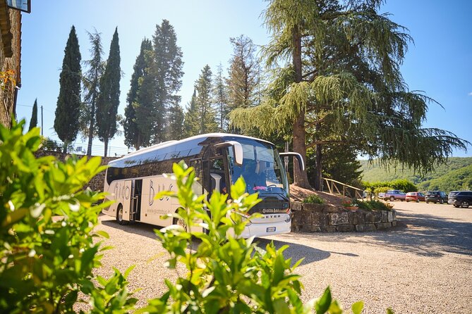 Half-day Experience to San Gimignano Hills with Picnic and Wine - A tight schedule that still feels like a real change of scenery