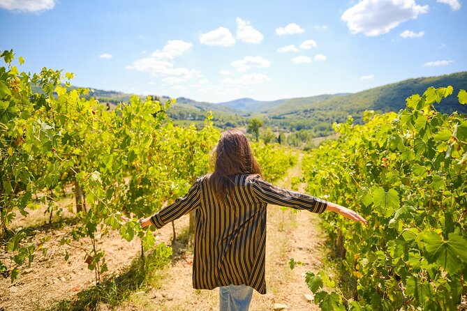 Half-day Experience to San Gimignano Hills with Picnic and Wine - San Gimignano historic center: city gate to Piazza Duomo and Torre Grossa