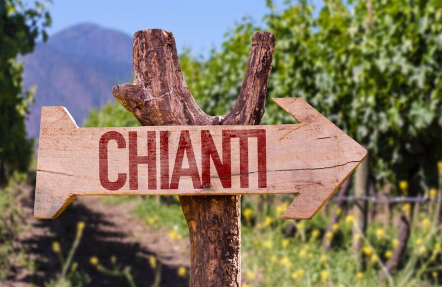 Half-day Hills Experience to San Gimignano with Pic Nic Wine - Florence to San Gimignano by air-conditioned minibus (with Wi-Fi)