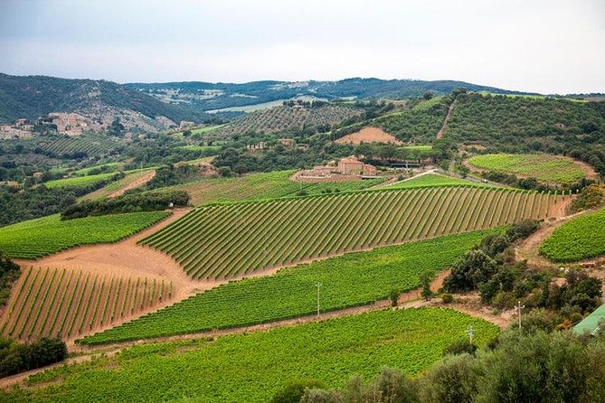Half Day Tour Chianti Winery with San Gimignano - Half-Day Tuscany, Done the Practical Way