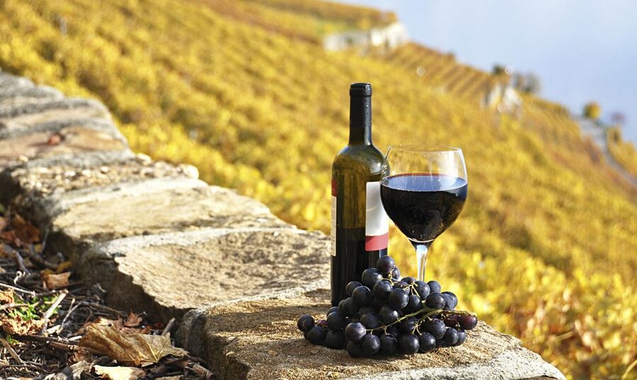 Half-Day Tour from Florence: Chianti Colors & Flavors - The tastings and snacks, what’s included and how to make them work for you
