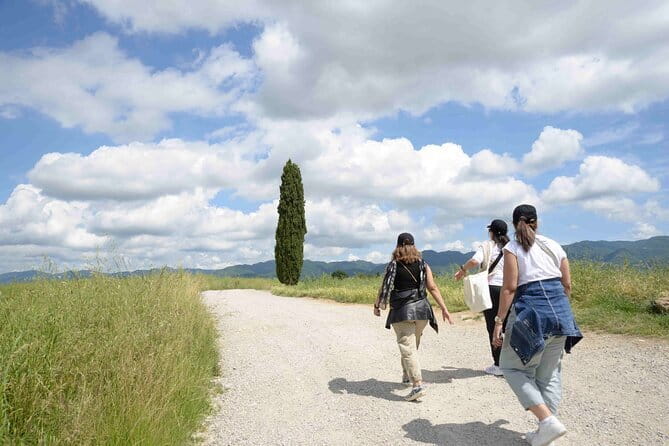 Hike & Wine Tour - Key Highlights You Should Know Before You Go