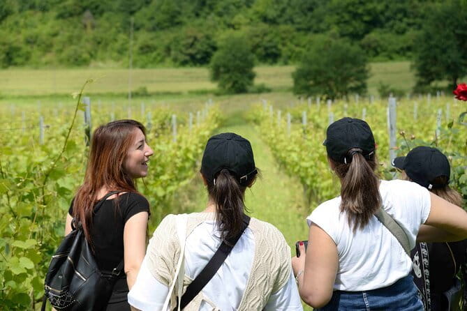 Hike & Wine Tour - Best Fit: Who Will Enjoy This Most, and Who Might Not