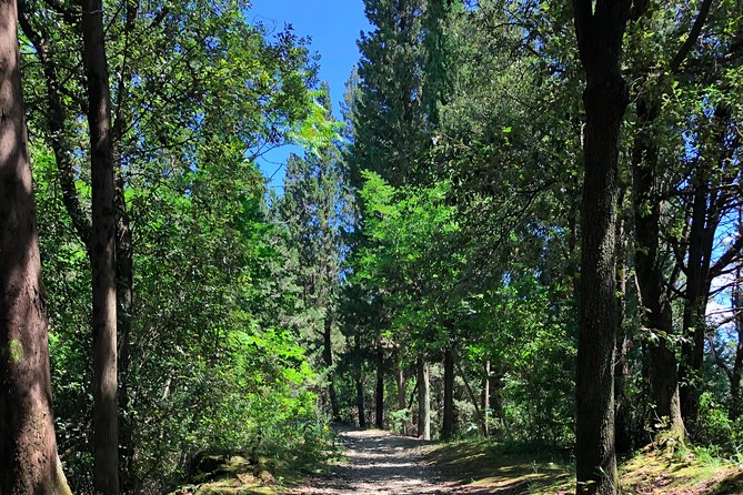 Hiking Florence Tuscany hills with lunch & wine - What to wear and bring, so you enjoy every uphill moment
