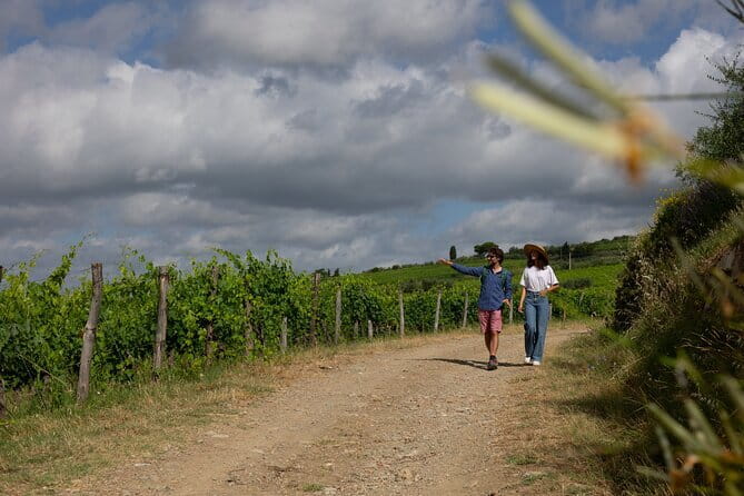 Hiking Tuscany & Chianti Wine - 3 Organic Wineries with lunch - From Florence’s Piazza della Libertà to Chianti without the stress