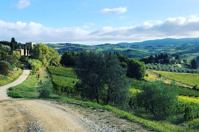 Hiking Tuscany & Chianti Wine - 3 Organic Wineries with lunch - The 7 km hike between wineries, paced for real foot traffic