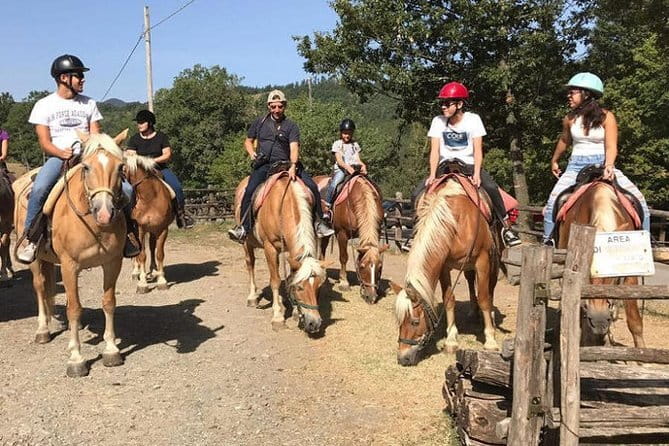 Horse ride in the Mugello (transfer from / to Florence) and Tuscan aperitif - Barberino di Mugello walk: a gentle start to the countryside