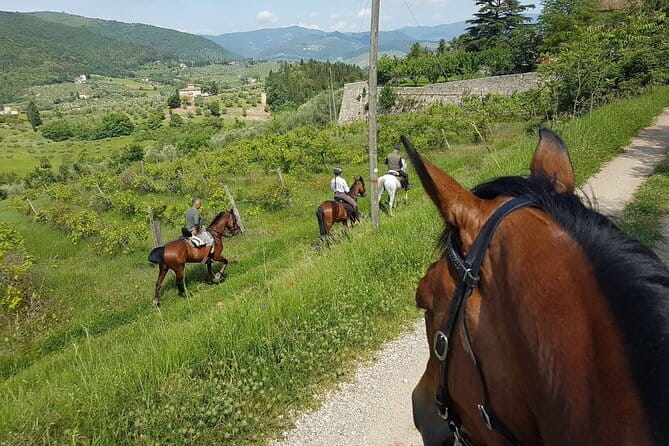 Horseback ride and gourmet cuisine in a historic food shop - Horseback and gourmet in the Chianti hills, starting from Florence