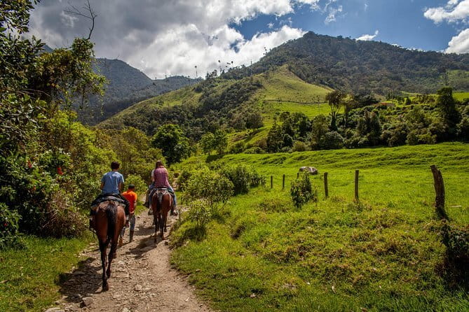 Horseback ride and gourmet cuisine in a historic food shop - Photos, pacing, and the feeling of being cared for
