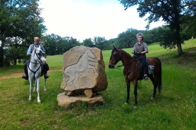 Horseback riding & Wine Tasting and snack Lunch at noble Estate - The private horseback ride: one hour of Chianti views, paced to you