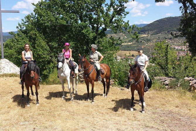 Horseback riding & Wine Tasting and snack Lunch at noble Estate - The transfer to the winery: historic setting, not a rushed handoff