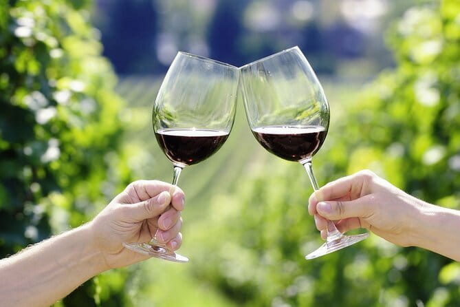 Horseback Riding with Wine Tour from Florence - Meeting Your Horse: A Beginner-Friendly Ride Through Tuscany