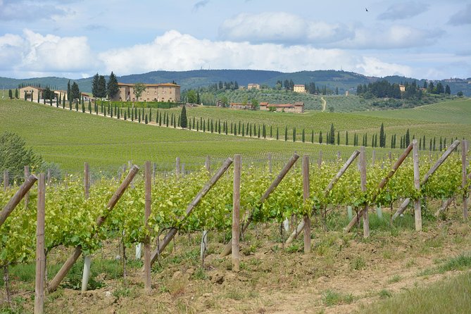 It's Wine Time! 2 wineries & farm-to-table lunch—max 8 pp - Getting from Florence to the Wineries: The Van Ride Factor