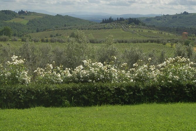 Journey through Italian Cheese - The wine pairing: how the glass helps you read the cheese