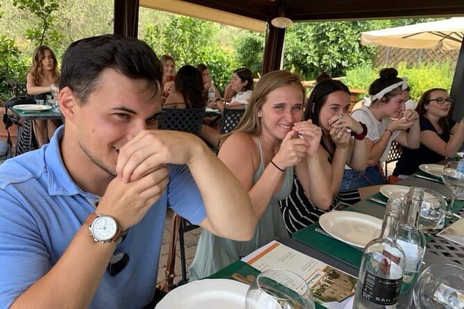 Leonardo Da Vinci's wind mill visit and Organic olive oil tasting - Stop 1 at Bottega del Mulino by Fattoria Lavacchio: Olive Groves First
