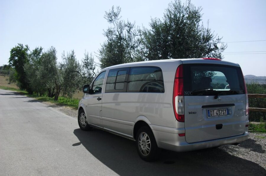 Livorno Port, Pisa, Florence: Full-Day Shore Excursion - Key points that make this day trip work
