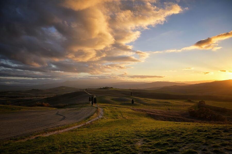 Magic Tuscany Tour - Val dOrcia in Practice: Cypress, Hills, and Artist-Style Views