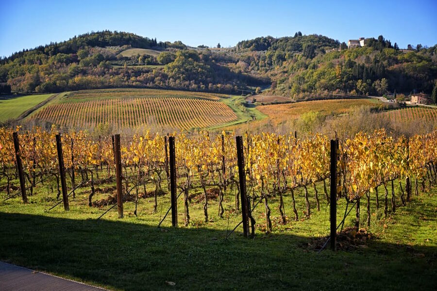 Magic Tuscany Tour - Comfort and the Marco Factor: Why People Keep Rebooking