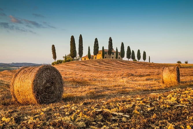 Montepulciano, Montalcino, Pienza from Florence - Florence hotel pickup to Val dOrcia views in under 2 hours