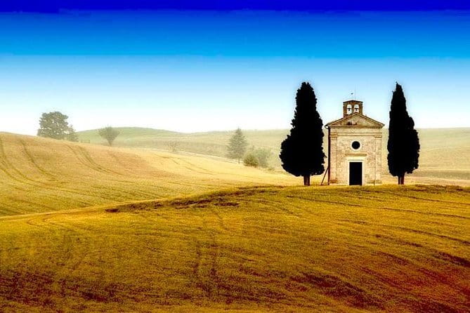 Montepulciano, Montalcino, Pienza from Florence - Wine tasting and winery add-ons: plan your upgrades ahead