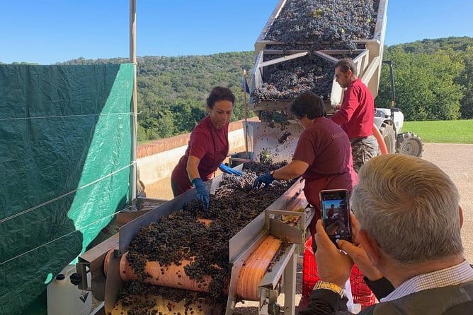 Montepulciano Pienza Montalcino Tour from Florence - One-Day Florence to Tuscany Wine Villages, Actually Manageable