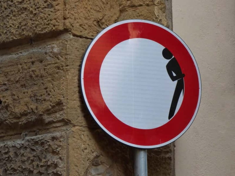 Panoramic walking tour in Florence with Vincenzo - CLET street art: a modern detour with a city-learning payoff