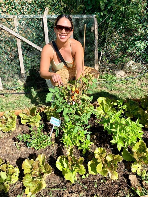 Pick Vegetables at the farm & Cook pasta - Cooking a Full Tuscan Menu, Including Homemade Pasta
