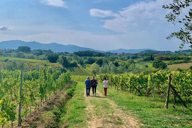 Pisa and Lucca Tour from Florence - How the guided parts help, without stealing your time