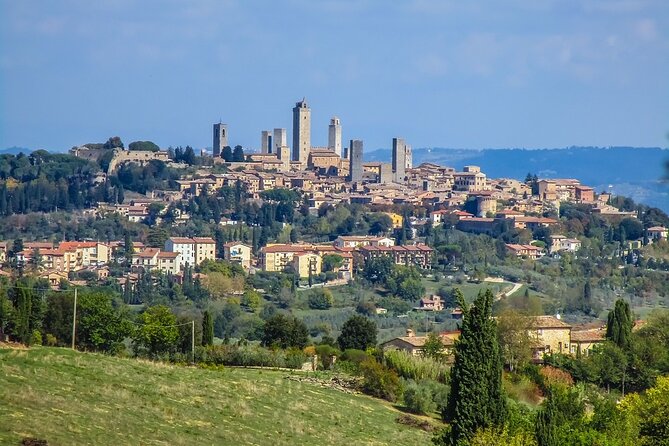 Pisa and San Gimignano Tour from Florence - Price and value, especially if you can fill the van