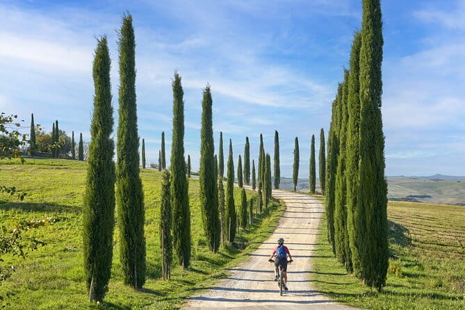 Pisa, Siena and San Gimignano Day Trip with Lunch & Wine Pairing - Who should book, and who should pick a different plan