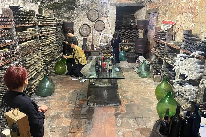 Pisa, Vinci, Tuscany, Wine tasting all in one day! - Small Group - Piazza dei Miracoli: How You See the Leaning Tower Without a Tower Ticket
