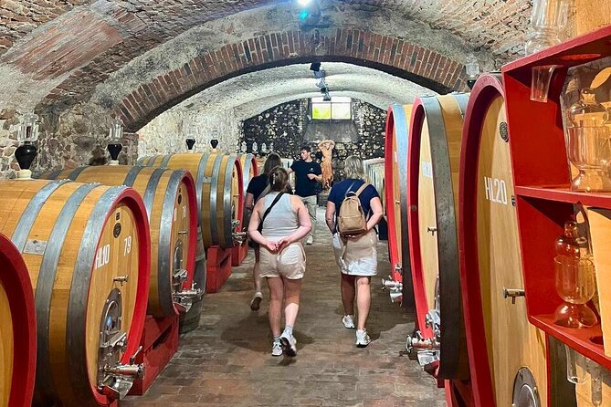 Pisa, Vinci, Tuscany, Wine tasting all in one day! - Small Group - From Rome? Train Tickets Are Included With Approximate Times