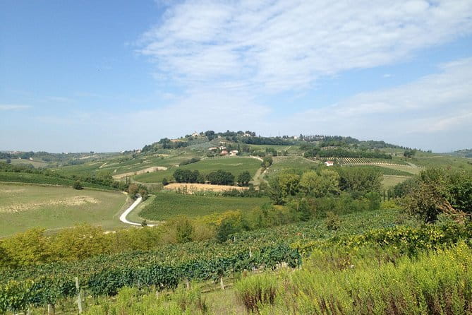 Pisa, Volterra and San Gimignano Private Tour from Florence - Volterra Alabaster Walk and a Proper Lunch Stop