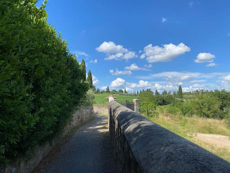 Premium Chianti E-Bike Tour, Food Wine Tasting + Photo shoot - Key things I’d watch before you book
