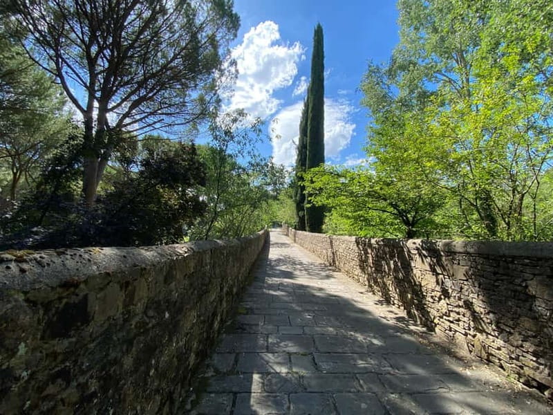 Premium Chianti E-Bike Tour, Food Wine Tasting + Photo shoot - Photo shoot reality check: why it’s worth the attention