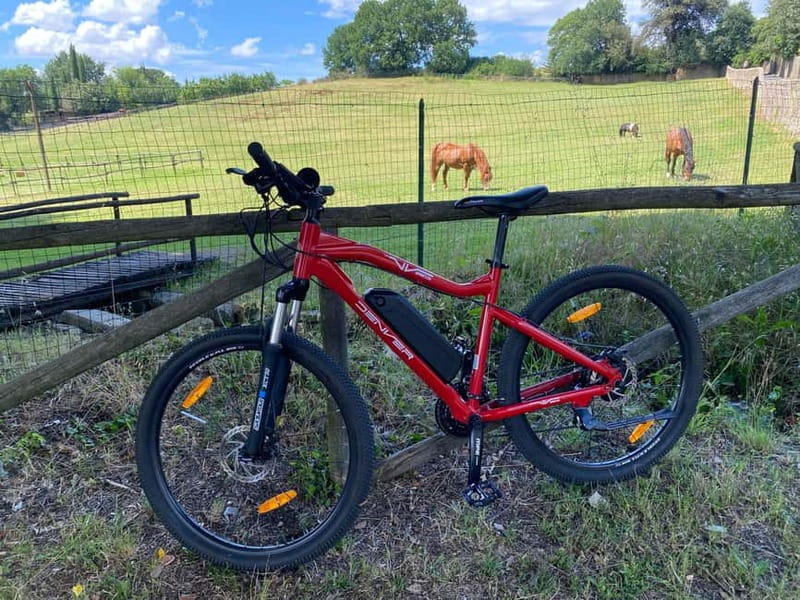 Premium Chianti E-Bike Tour, Food Wine Tasting + Photo shoot - Price and value: what $133.22 buys you in real terms