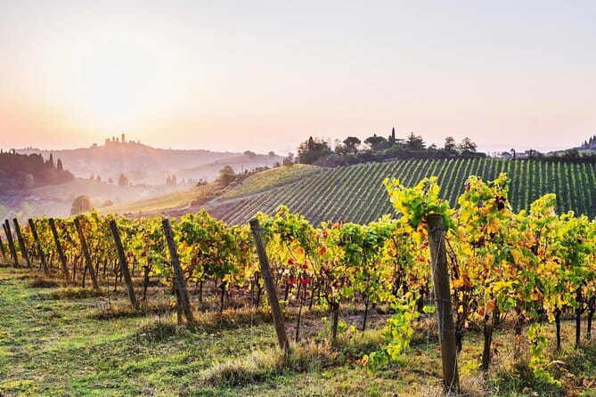 Private Best of Tuscany Hill Towns Tour with lunch from Florence - Siena: Palio vibes and medieval architecture in real time