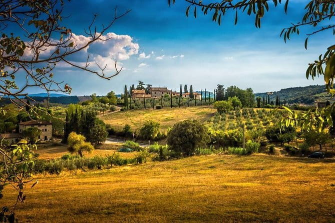 Private Carmignano Tour: The First Cabernet Sauvignon in Tuscany - Carmignano Wine Country: A smarter Tuscany day than staying in Florence