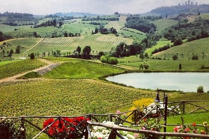 Private Chianti Classico Tour with wine and food tasting in a Historic Estate - Key highlights at a glance