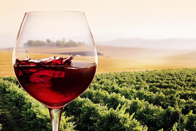 Private Chianti Classico Tour with wine and food tasting in a Historic Estate - Food pairings: snacks that teach your palate