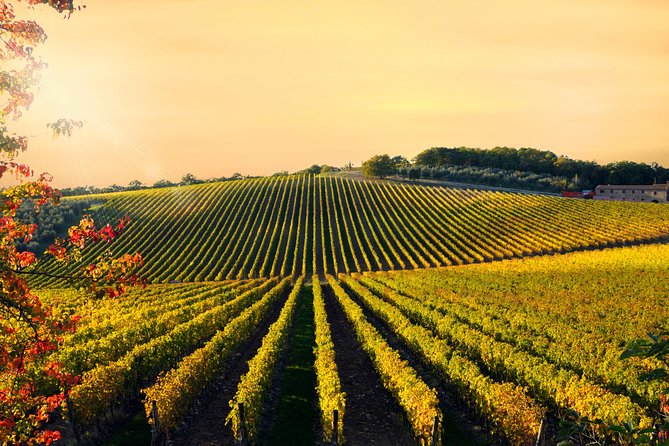 Private Chianti Classico Tour with wine and food tasting in a Historic Estate - Time management on a 4-hour half-day (and why pacing matters)