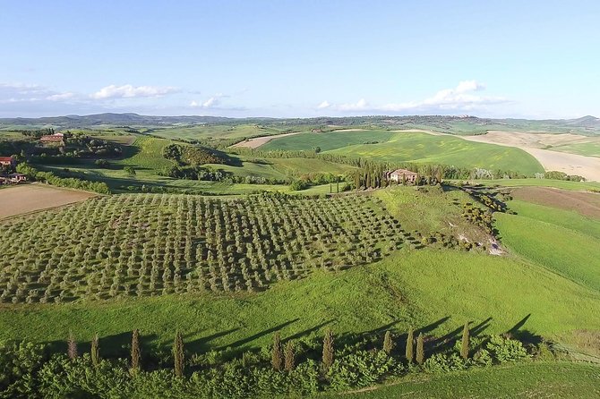 Private Chianti Classico Tour with wine and food tasting in a Historic Estate - Price and value at about $341 per person